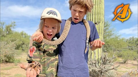 Rattlesnake Scorpion and Tarantula Catch and Cook in Arizona