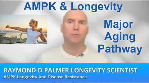 AMPK Longevity and Aging