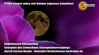 Engelwesen Channeling - Energien des Erwachens (Energieübertragung) - durch Carina Hauke