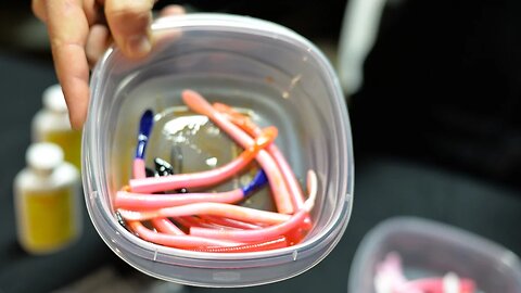 Steelhead Fishing Tips | Preparing Pink Worms For Float Fishing