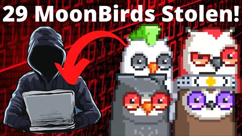 Hackers Steal $1.5 Million in Moonbirds NFTs!