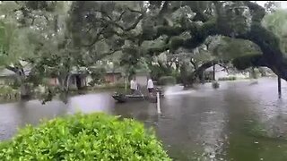 Beachpark neighborhood flooding in South Tampa