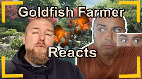 The pond fish rancher REACTS