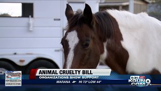 Local animal rescue organization reacts to bill against animal cruelty