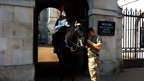 THIS HORSE GUARD WAS IN DISCOMFORT FOAMING AT THE MOUTH