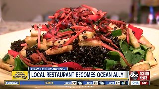 Dunedin restaurant The Honu one of first in the Tampa Bay area to be 100 percent 'ocean friendly'