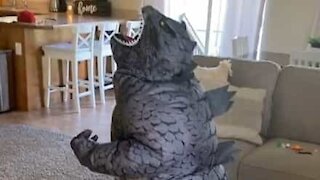 Rapaz mostra o seu melhor rugido de Godzilla