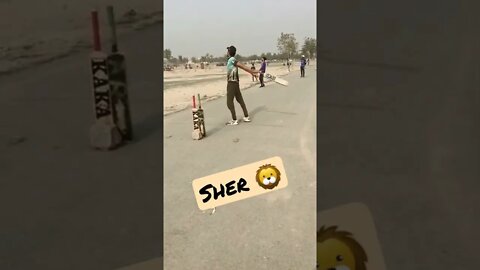 Babber Sher🦁👏💯 Batter#cricketlover #1M #shorts #shortvideo