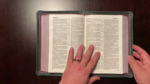 Allan 53 Green Purple Longprimer Bible (R. L. Allan & Son publishers)(Dec 4, 2022)