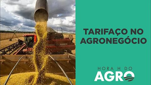 Taxação do agronegócio é aprovada em Goiás; setor tenta reverter decisão. Entenda! | HORA H DO AGRO