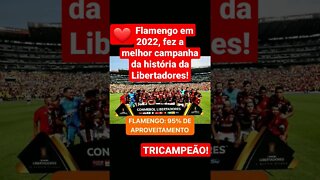 Flamengo em 2022, fez a melhor campanha da história da Libertadores!