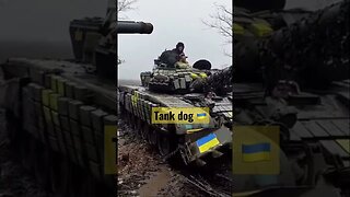 Tank dog 🇺🇦