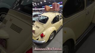 Volkswagen Beetle's
