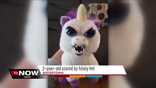 Watertown mom's "Feisty Pet" gift for kids backfires; goes viral on the internet