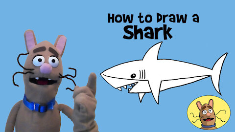 How to Draw a Shark