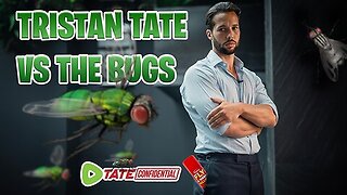 LORD OF THE FLIES | Tate Confidential Ep 185