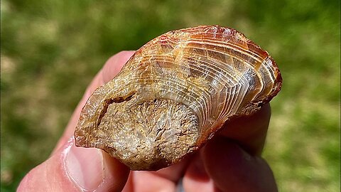 Turning Rough Agate into Polished Specimen! Lapidary Gem Polishing