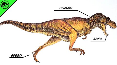 How Scientifically Accurate Is The Jurassic Park T.Rex?