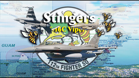 Stingers (F-16C Viper)