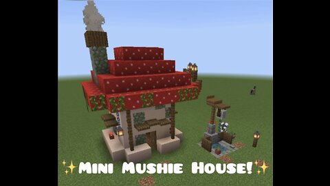Mini Mushie house