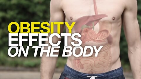 Obesity Effects on the Body