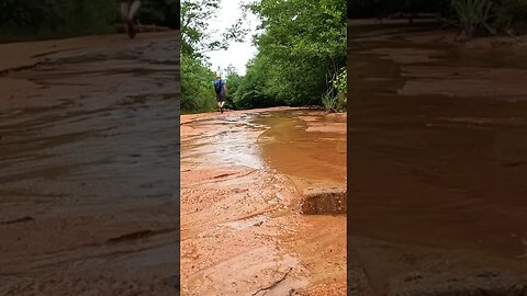 Hiking back out of Providence Canyon in southwest Georgia!