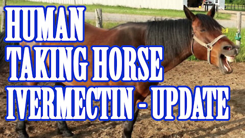 Human taking horse paste Ivermectin update