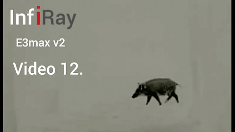 Video 12. Infiray E3max v2 vs wildboar