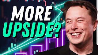 Tesla Stock - 6/8 Morning Analysis