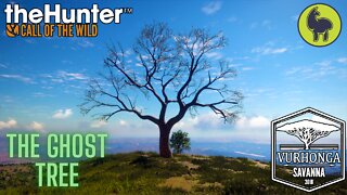 The Ghost Tree, Vurhonga Savanna | theHunter: Call of the Wild (PS5 4K)