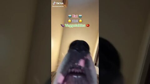 Dog Screams EAT YOUR VEGETABLES tiktok mistermainer