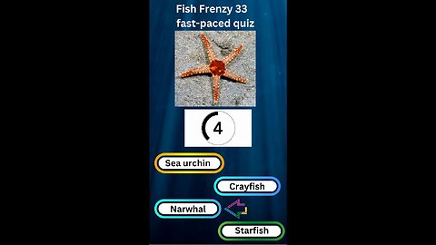Fish Frenzy 33 A fast-paced quiz