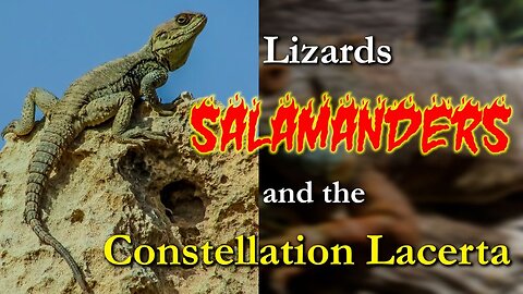 Lizards, Salamanders and the Constellation Lacerta