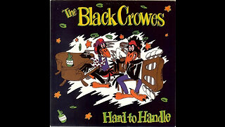 The Black Crowes - Hard To Handle