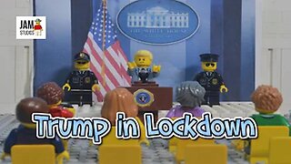 Lego Donald Trump in Lockdown!