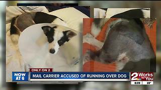 Mail carrier accused of rolling over dog on private property