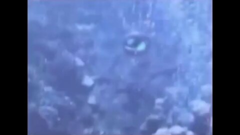 VERY rare video of an Underwater USO?!?!?!