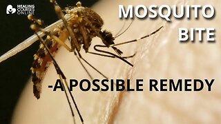 Mosquito Bite - Possible Remedy | Bites From Insects | Healing Mosquito Bite | HealingCoursesOnline