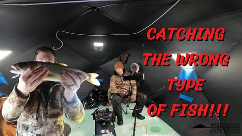 2023 Burbot Bash!! | Ice Fishing