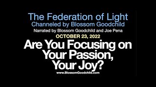Are You Focusing On Your Passions
