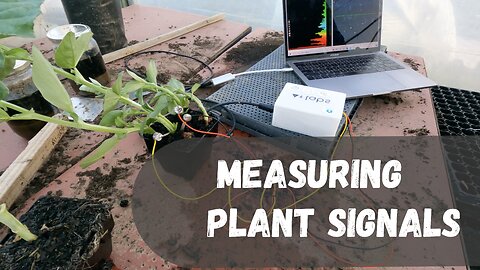 Plant EEG - Capturing Biofeedback Signals from Plants