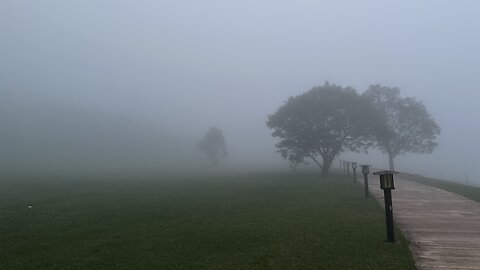 Sri Lanka. Nuwara Eliya. Gregory Lake. Fog