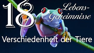 Die Verschiedenheit der Tiere... Der Schöpfer erläutert ❤️ Lebensgeheimnisse durch Gottfried Mayerhofer