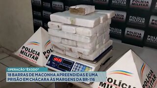 Operação Êxodo: 18 barras de Maconha apreendidas e 1 prisão em Chácara às margens da BR-116.