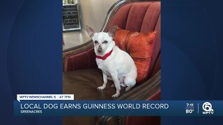 Palm Beach County dog earns Guinness World Record