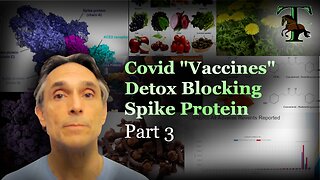 Covid "Vaccines" Detox | Part 3 | Blocking Spike Protein