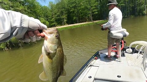 James River Bass Fishing #bassfishing #fishing #rangerboats #bassbaits #jamesriver