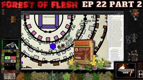 Forest of Flesh Episode 22 (Part 2) | At the Gates | DnD5e