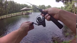 Live Bait Bass Fishing East Texas August 2020