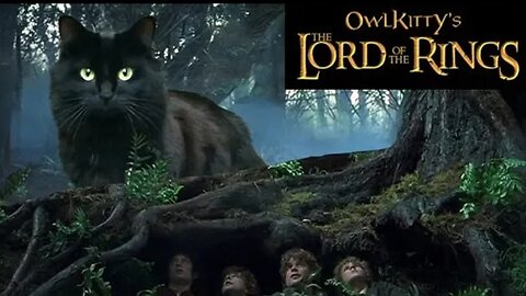 Lord of the Rings + My Cat